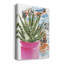 " Zebra Succulent II "-2102969505