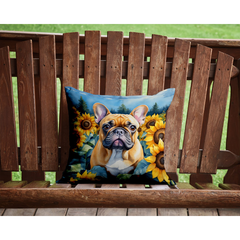 Coussin décoratif autre / sans motif, H 14 po x l 14 po