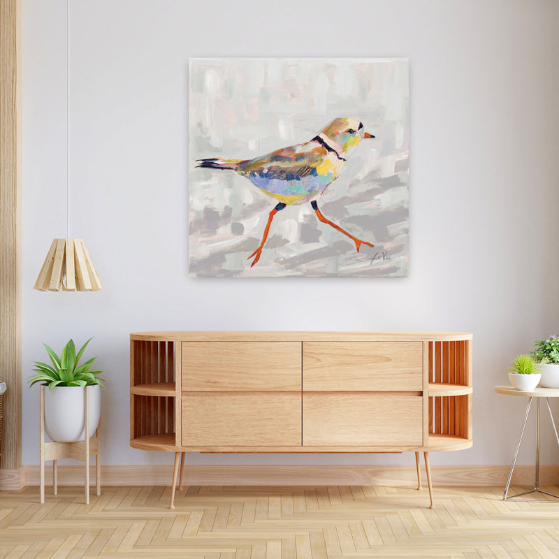Pluvier côtier I, oiseau gris contemporain, art d'été sur la plage, H 36 po x l 36 po