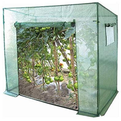 77.95" W x 29.53" D Greenhouse