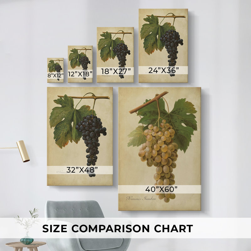 Vignes rétro I - Toile tendue avec châssis sur mesure - 3 pièces, H 12 po x l 24 po
