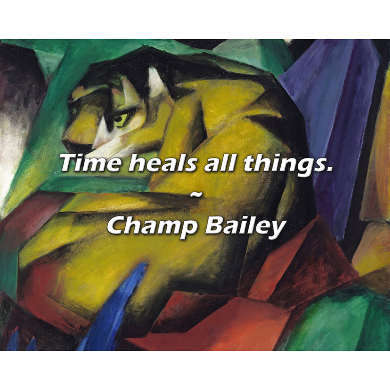 Citation de Champ Bailey: Le temps guérit tout., H 15 po x l 18 po