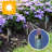 Low Voltage Solar Powered Integrated LED Bollard Light Pack