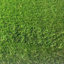 Brioney 40mm Premium Artificial Grass For Lawn, Non-Slip Fake Grass-3m(9'9") X 4m(13'1")-12m²-592367052