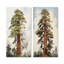 «Redwoods Rise Solitude Landscape», ensemble de 2 impressions sur toile de séquoia-180333708-180333697
