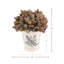 Dried Rose Bundle in Ceramic Pot-603323831