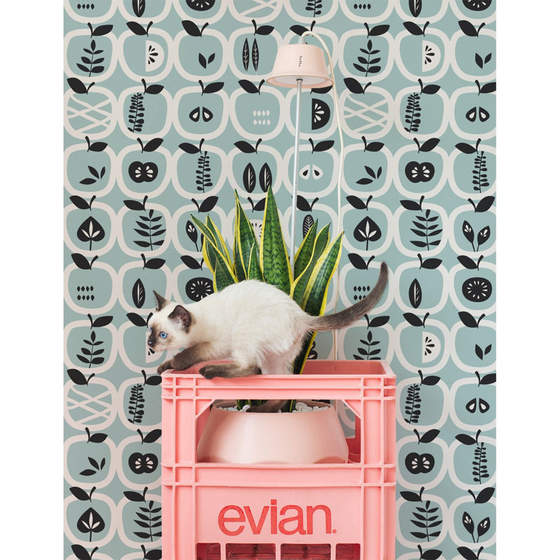 Caryss 2.5m x 2.5m Matte Mural, 250 x 250cm