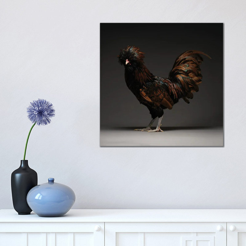 Gold Laced Polish by CHICken - Wrapped Canvas Print, 45.72 cm H x 45.72 cm W x 1.91 cm D
