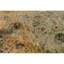 Oriental Area Rug