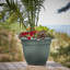 Pot à fleurs intérieur / extérieur Traditional-927975566-867405348