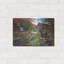 «Wildflower Mountain» par Bigelow, illustrations en métal-31758306