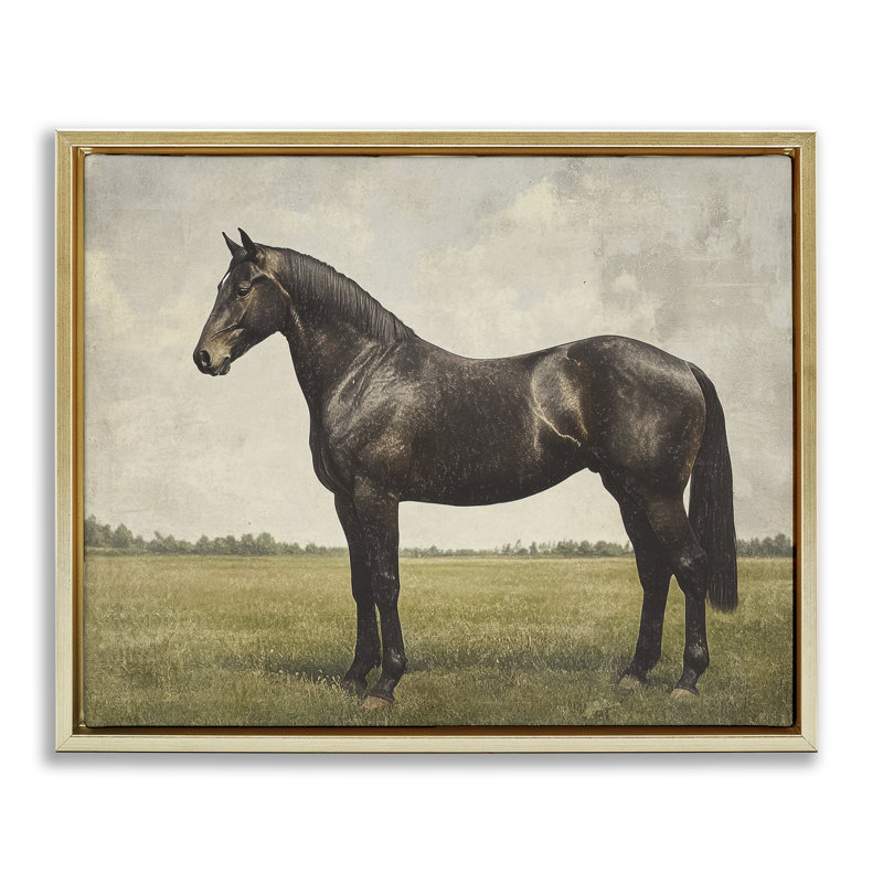 Cadre flottant espresso avec portrait de cheval, design par Petal Prints Design, H 25 po x l 31 po