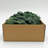 Preserved Reindeer Moss Grass Green-1467937424