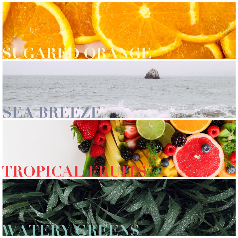 Bougie de créateur parfumée à la mer