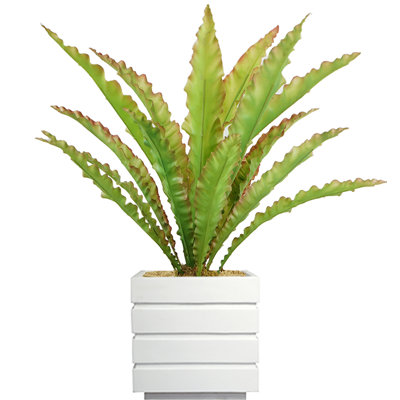 Plante grasse artificielle Bragdon en pot