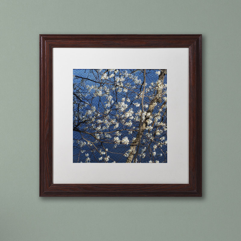 «Springtime at the Lake», reproduction de photo encadrée, H 16 po x l 16 po x P 0,5 po