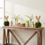 Véritable décor de lapin cyprès et buis préservé (ensemble de 2) pour Pâques et le printemps