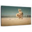 Crowle Golden Retriever
