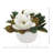 Magnolia Floral Arrangement