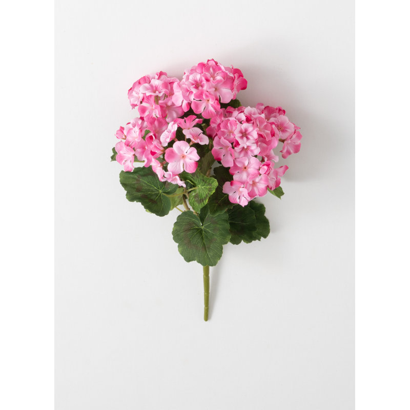 Geranium Arrangement, Pink