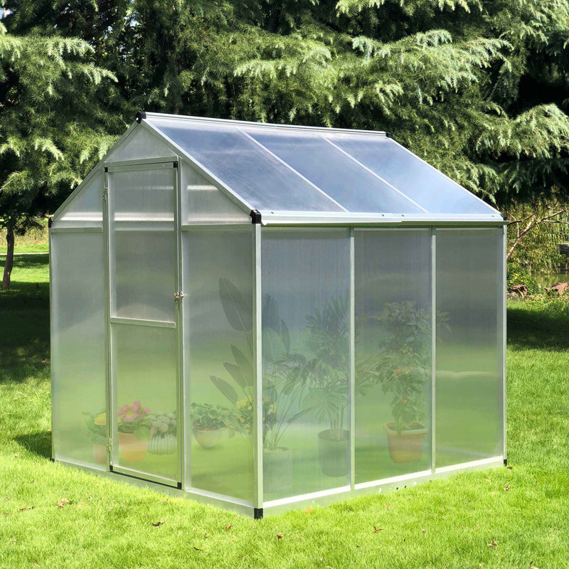 6' L x 6' W Walk-In Polycarbonate Greenhouse with Roof Vent for Ventilation & Rain Gutter, Hobby Greenhouse for Winter