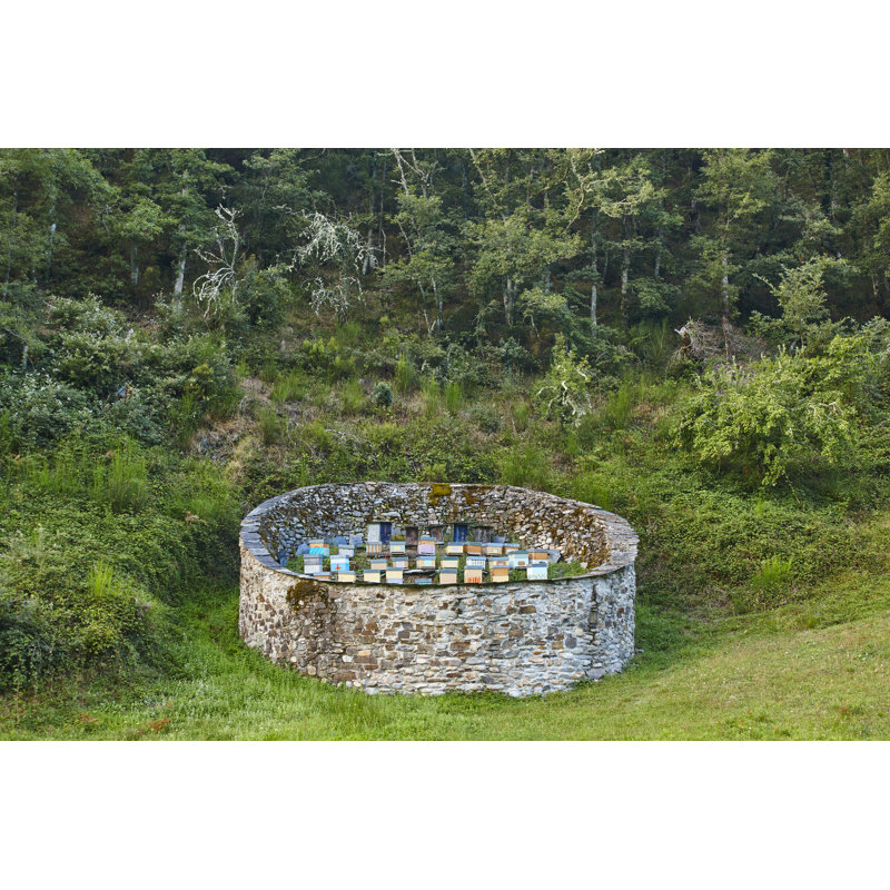 Beehives sur toile, H 24 po x l 36 po