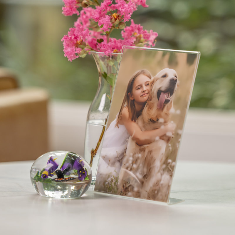 Cadre de table ou porte-affiche autoportant en acrylique transparent - 12 cadres photo, 4 po x 6 po