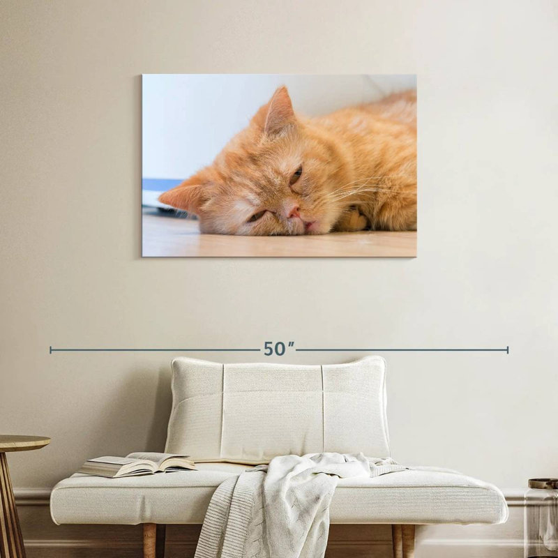Crowle Sleeping Cat, 24" H x 36" W
