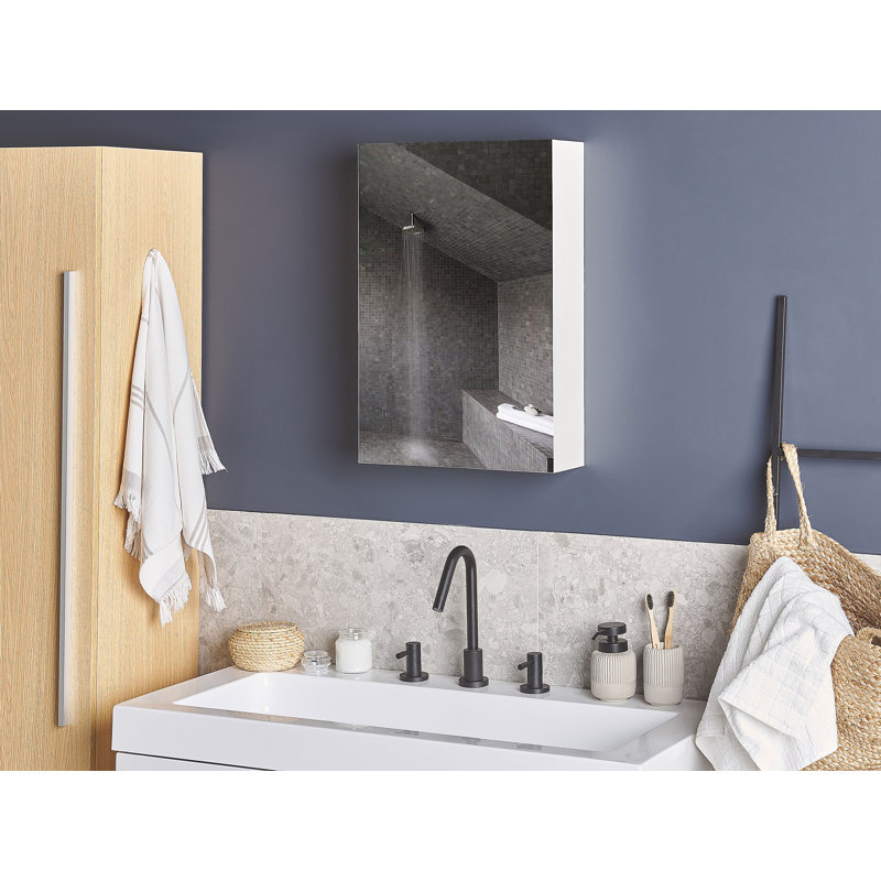 Fairholme 400mm W 600mm H Surface Frameless Medicine Cabinet Mirror 2 Fixed
