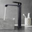 Robinet de lavabo vasque à poignée simple avec drain-105744310