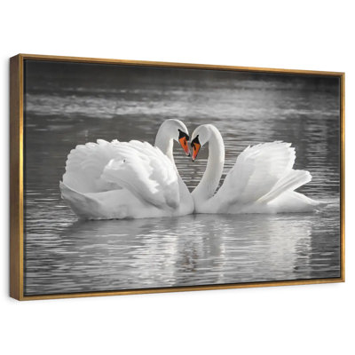 Couple de cygnes amoureux