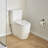 Essence 1.28 GPF (Water Efficient) Elongated Two-Piece Toilet (Seat Included)-59241332