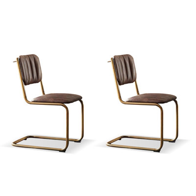 Brown Gold Solid back side Chair(Set of 2)