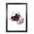 Black Grain Frame selected