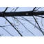 Black Birch Tree with LED Lights Indoor Use Only-103967514