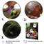 «Jungle Celebration Sacred Altar», reproduction sur toile-1973968098-1973968108