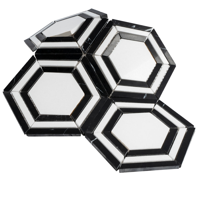 Interspace 10.63 in. x 12.01 in. Hexagon Polished Marble Mosaic Tile, Black/White
