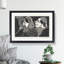 Two Male Heads by Samuel De Mesquita - Framed Print-62792757-62792765