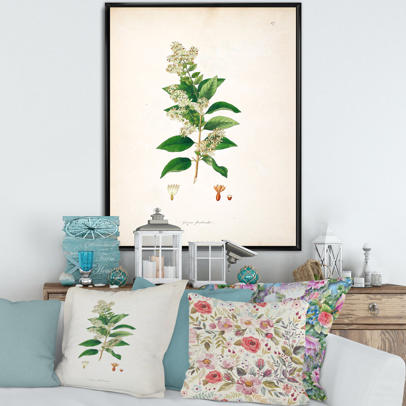 Vintage Botanicals XVII - Peinture sur toile, H 40 po x l 30 po x 1,5 po, Cadre flottant noir