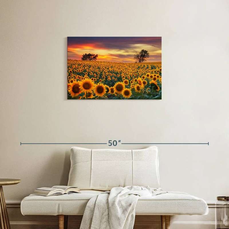 Crépuscule champ de tournesol Alvord, H 20 po x l 30 po