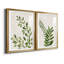 «Botanical Wash I», ensemble de 2 reproductions d'art sur toiles-455244319-455244312-455244305