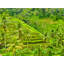 Landscape & Nature Print by Mark Paulda-71201496-132838055