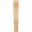 Attelle de genou Funston-1812888342-1812888345-1803676151