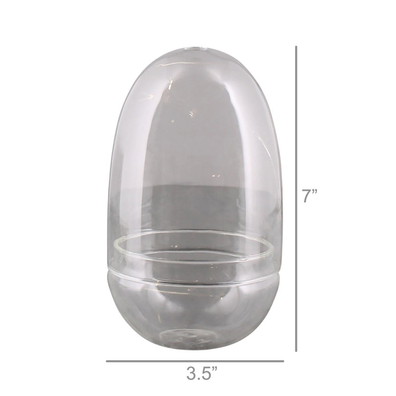 Terrarium en verre, H 6,7 po x l 3,5 po x P 3,5 po