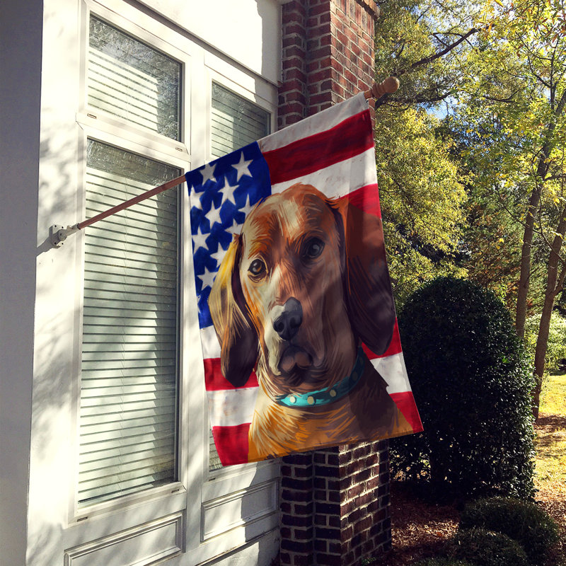 Polyester à 2 côtés 28 x 40 po drapeau maison, Redbone Coonhound