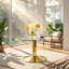 Tempered Glass Top Coffee Table