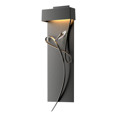 Rhapsody 1-Light LED Flush Mounted Sconce