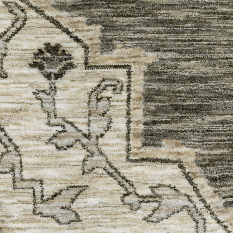 Emerence Oriental Indoor Rug, Rectangle 9'10" x 12'10"