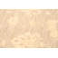 Tapis zone en laine 10 pi 10 po x 8 pi 8 po noué la 2010 ushak one-of-kind Klimas