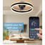 Ceiling Fan with LED Lights